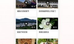 新闻爆料视频制作公司,幕后故事与行业洞察