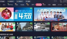 绿军粉丝爆料视频播放下载