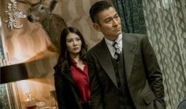 追龙电影在线观看,巅峰对决，传奇再续