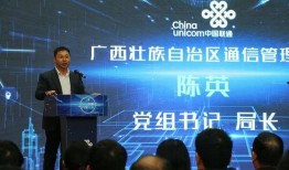 数字广西最新爆料,揭秘区域数字化转型新篇章