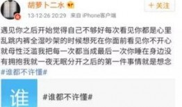 爆料一个小三的视频网站,一场道德的挑战与网络暴力的漩涡