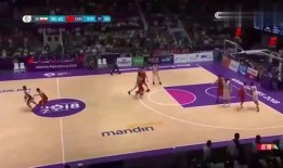 王哲林爆料视频最新版,篮球生涯背后的故事与挑战