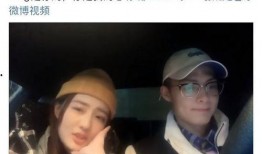 爆料男明星家暴视频合集,揭秘男明星家暴视频合集