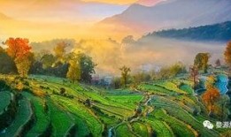 婺源最新爆料,最新爆料揭秘古村新颜