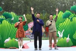 王雁林最新爆料新闻视频,揭秘事件背后惊人真相