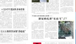 训练赛最新爆料新闻稿件,独家爆料新闻稿件深度解读”