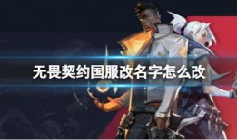 国服无畏契约皮肤最新爆料