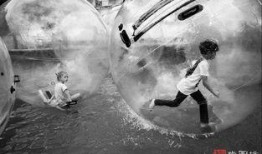 流浪摄影师爆料视频在线观看