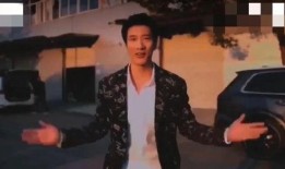 摄像师爆料王力宏视频,摄像师揭秘惊人内幕