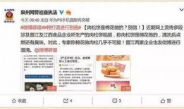 肉松饼爆料视频在线观看,独家爆料视频带你一探究竟