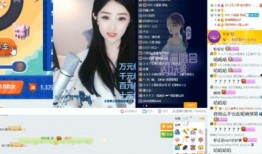 房帅被爆料视频,真相与争议并存