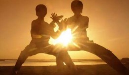 小太极在线观看,轻松入门，体验传统养生之道