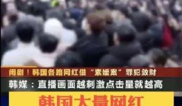 素媛案罪犯爆料视频大全,真相与反思