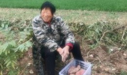 农村小燕子爆料视频播放,揭秘乡村生活幕后真相