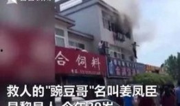 国内新闻爆料视频,真实事件背后的真相