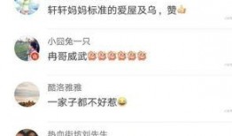 冉莹颖一家爆料视频,揭秘明星家庭生活点滴