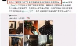 阿诺被粉丝爆料视频,揭秘明星幕后生活瞬间