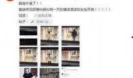 网友爆料景区日料视频下载,下载引发热议