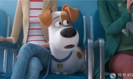 爱宠大机密2在线观看免费完整版,萌宠冒险再启程！