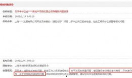 雷府最新爆料,最新爆料背后的惊人真相