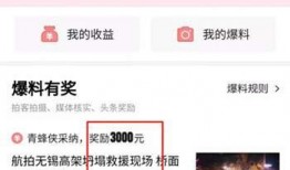 爆料视频是怎么赚钱的呀,揭秘网络红利的秘密