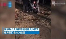 湖南女校长爆料事件视频,揭露教育行业潜规则与黑暗面