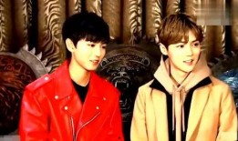 爆料王俊凯鹿晗视频在线观看,独家在线观看瞬间揭晓