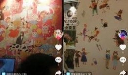 抖音爆料获奖视频大全集,爆款视频大全集深度解析