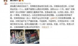 廊坊记者爆料事件始末视频,真相与争议的交织