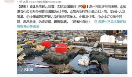 阜阳最新爆料深圳事件始末,阜阳最新爆料揭示惊人真相
