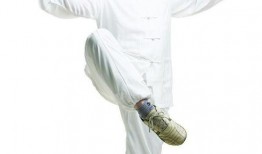 小太极在线观看,轻松入门，体验传统养生之道