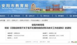 教育局最新爆料消息通知,揭秘教育改革动态与未来趋势”