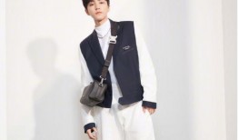 女生爆料王俊凯视频,女生爆料背后的真相揭秘