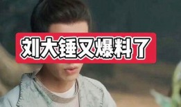 12点爆料刘大锤视频,揭秘幕后真相