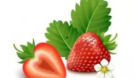 草莓最真实爆料视频,真实爆料视频背后的惊人真相