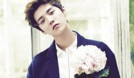 娱乐爆料鹿晗,揭秘明星背后的故事