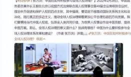 武汉经开外校爆料事件视频,视频揭露校园疑云