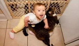 小男孩在线观看,小男孩的在线观看之旅