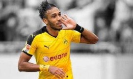 沙曼足球爆料视频大全最新,揭秘最新精彩瞬间与幕后故事