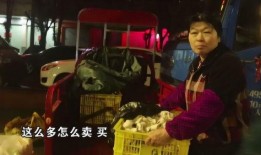 农村小燕子爆料视频播放,揭秘乡村生活幕后真相