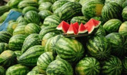 音乐学院网红吃瓜,揭秘吃瓜背后的故事与真相