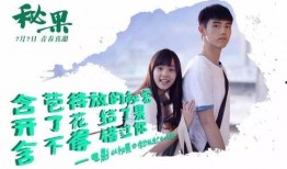 秘果电影版在线观看,青春校园的禁忌之恋，揭秘青春成长的秘密角落