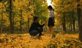 秋天爸爸最新爆料图片,爸爸与孩子的甜蜜互动，定格美好时光