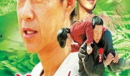 电视剧上门女婿全集在线观看,逆袭之路，爱情与奋斗的交响曲