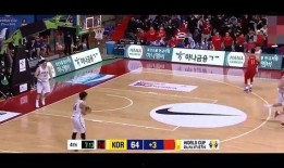 王哲林爆料视频最新版,篮球生涯背后的故事与挑战