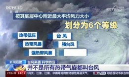 最新台风爆料视频播放网站,实时追踪，权威解读