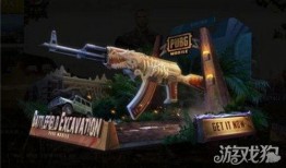 爆料和平精英皮肤最新爆料,平精英新皮肤爆料，神秘特效抢先看！