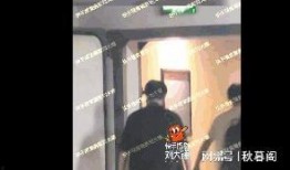 大锤爆料冯绍峰视频,大锤爆料背后的真相揭秘