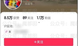 网红美女吃瓜网站,揭秘娱乐圈幕后真相，带你领略明星生活！