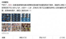 松柏道馆爆料视频播放,独家爆料视频带你领略武术魅力